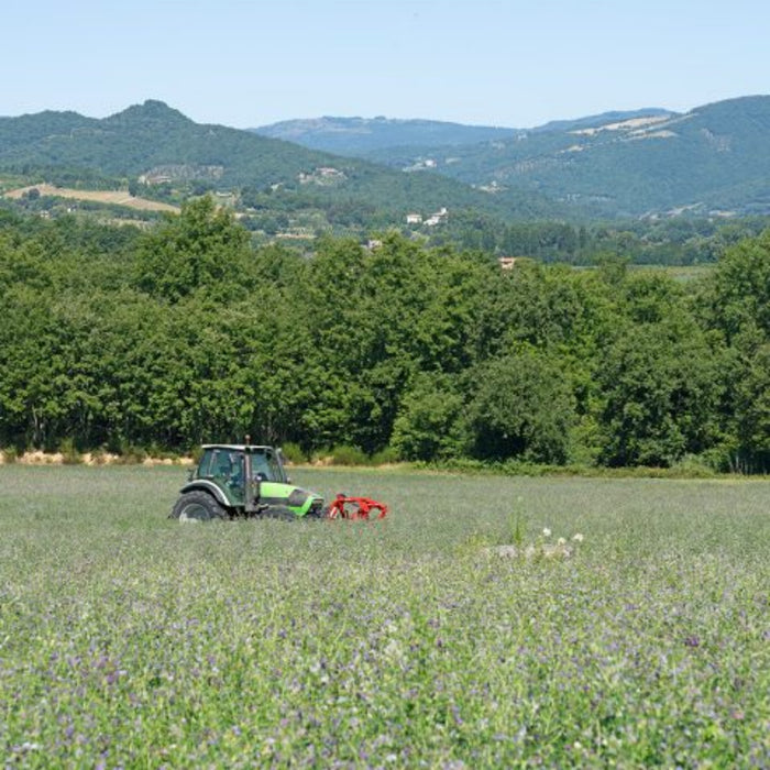 Front view of tractor with Enorossi BFF mower attached