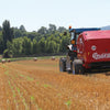 Enorossi RB-120 fixed chamber round baler forming hay bales during field operation