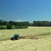 Enorossi TRACER 780 double rotary rake working across cut hay rows