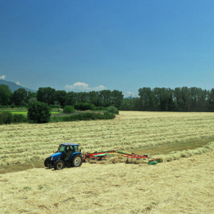 Enorossi TRACER 780 double rotary rake working across cut hay rows