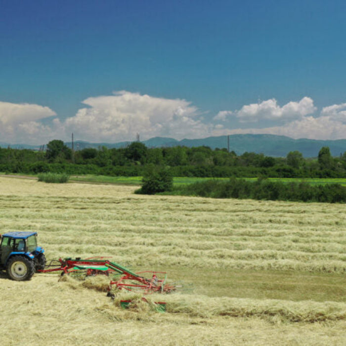 Enorossi TRACER 780 double rotary hay rake forming two single swaths