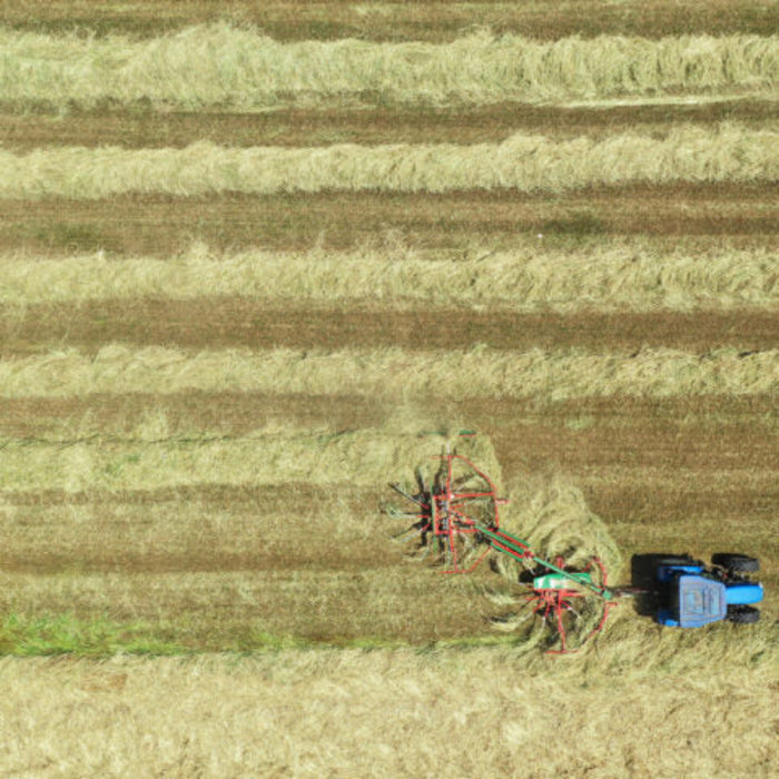 Enorossi TRACER 780 double rotary rake field view showing windrow pattern