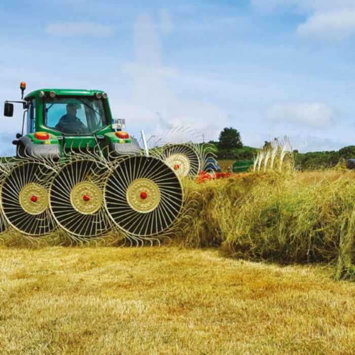 Enorossi BATRAKE wheel rake forming windrows in forage field
