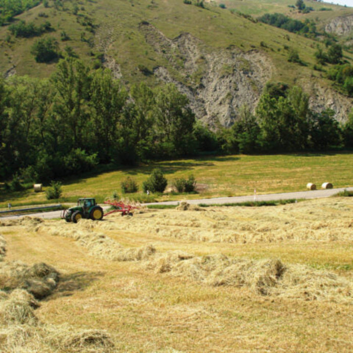 Wide working width of Enorossi BATRAKE wheel rake in hilly field