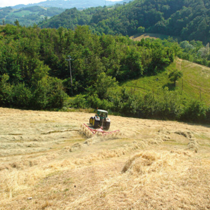 Enorossi wheel rake operating across uneven forage terrain