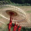 Enorossi wheel rake working in grass field forming central windrow