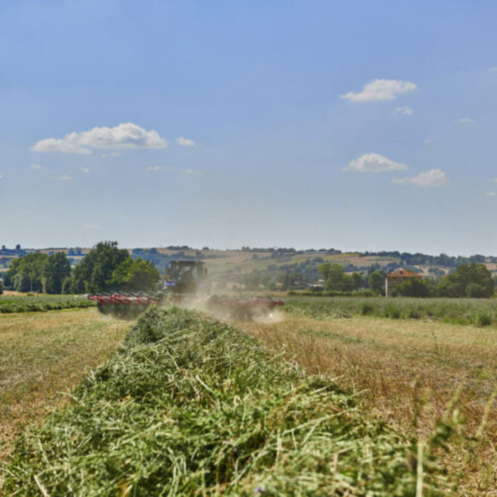 Enorossi MAXIMUS wheel rake operating on uneven terrain