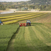 Enorossi TREX CP disc mower front angle attached to agricultural tractor